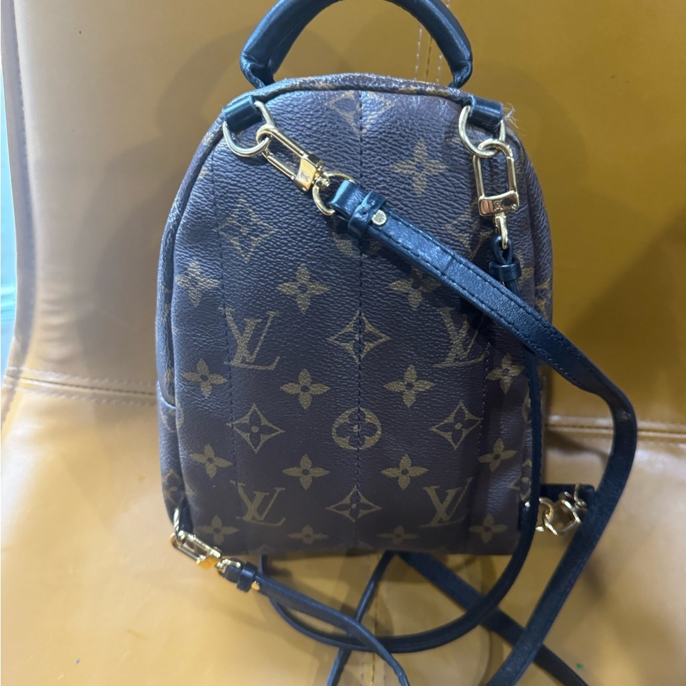 Louis Vuitton Monogrammed Palm Springs mini back pack - Picture 3 of 16